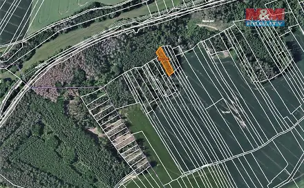 Prodej lesa 1 133 m², Trhový Štěpánov, okres Benešov