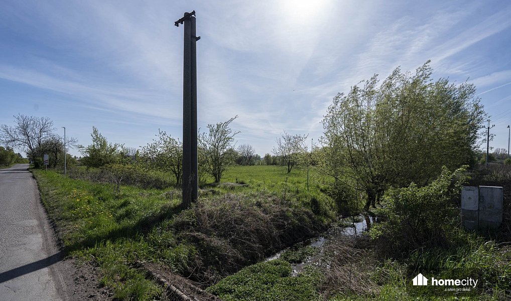 Prodej komerčního pozemku 9 749 m², Smiřice – náhled fotky 6