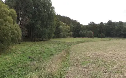 Dražba louky 58 887 m², Lom u Tachova
