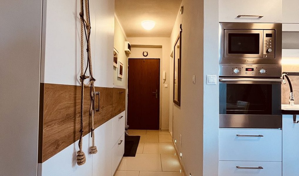 Pronájem bytu 3+kk 54 m², Ostrava – náhled fotky 4