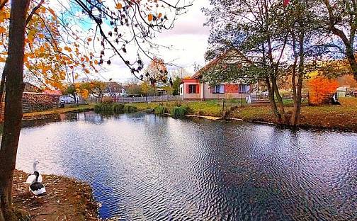 Prodej domu 162 m² s pozemkem 2 387 m², Maleč - Předboř, okres Havlíčkův Brod