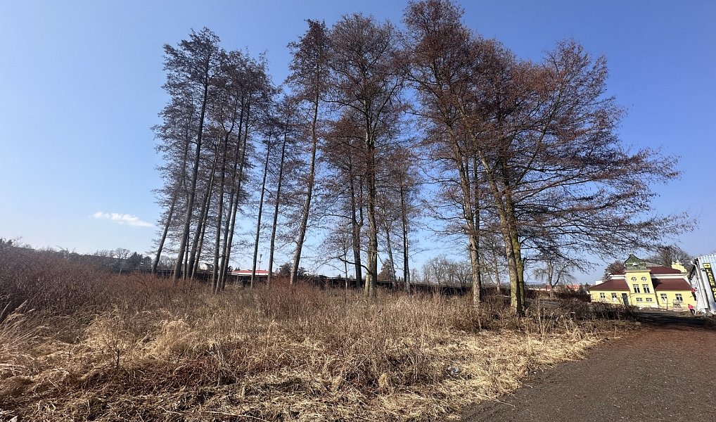 Prodej obchodních prostor 1 900 m², Karlovy Vary – náhled fotky 6
