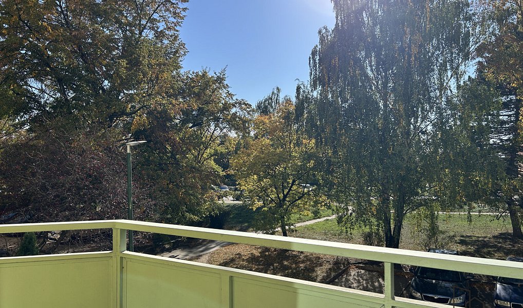 Pronájem bytu 1+1 40 m², Hodonín – náhled fotky 7