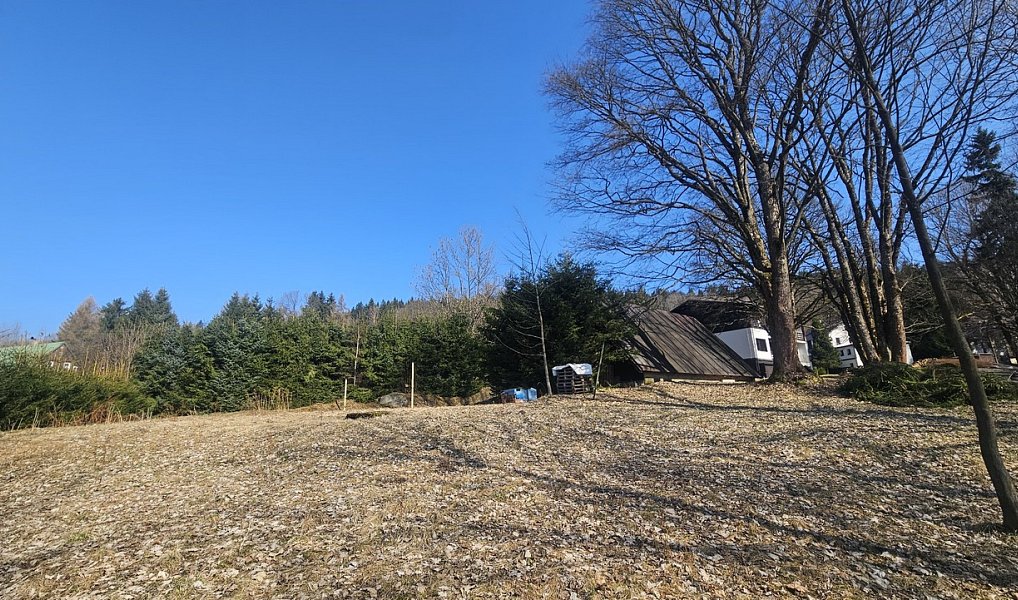 Prodej domu 635 m² s pozemkem 11 396 m², Janov nad Nisou – náhled fotky 5
