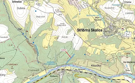 Dražba lesa 10 096 m², Stříbrná Skalice