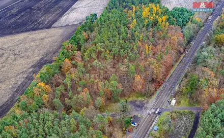 Prodej lesa 6 436 m², Lysá nad Labem, okres Nymburk