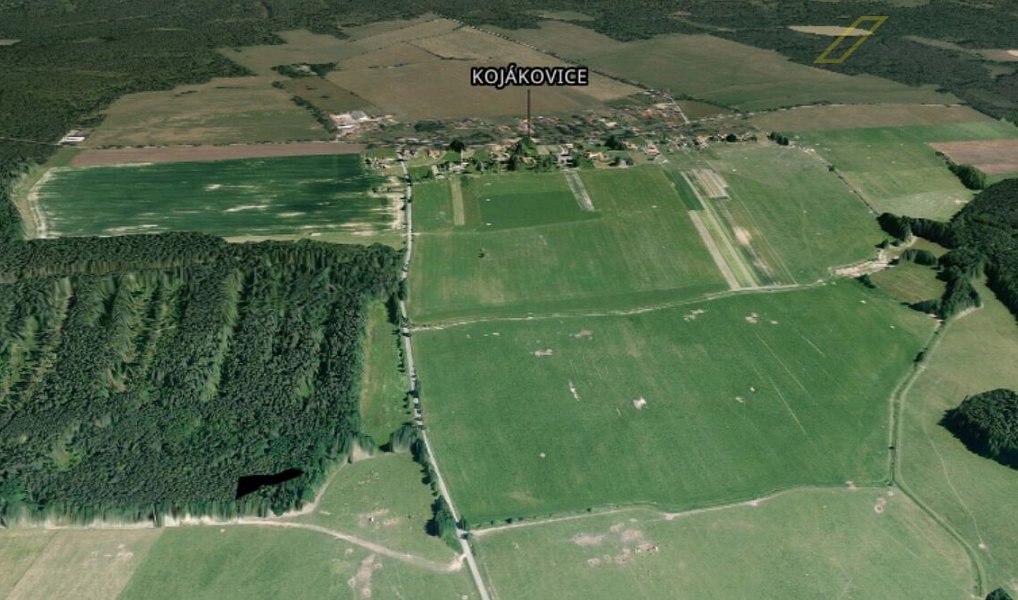 Prodej lesa 18 959 m², Jílovice – náhled fotky 4