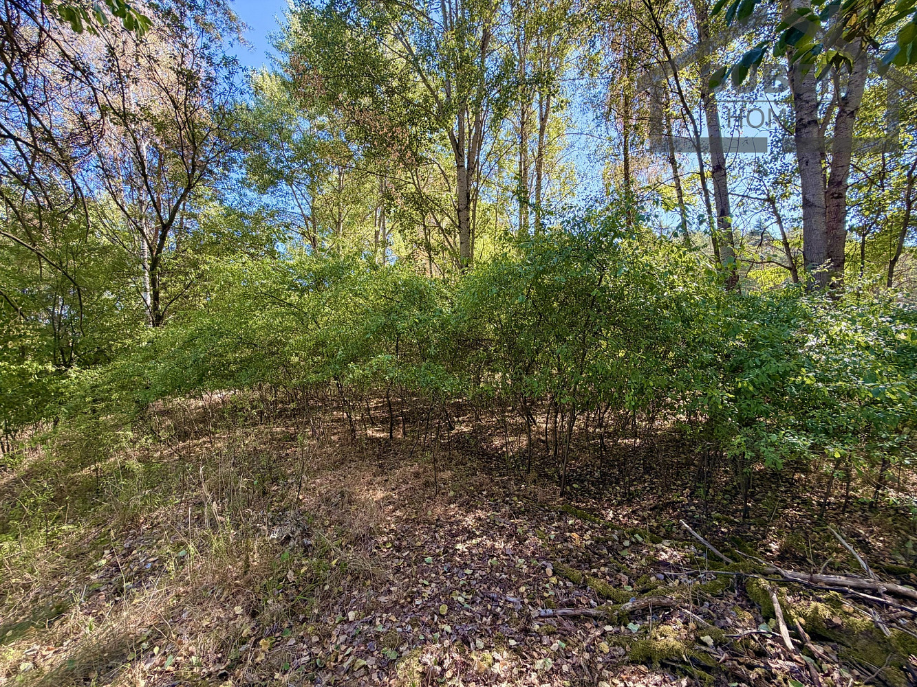 Prodej stavebního pozemku 894 m² – fotografie 4