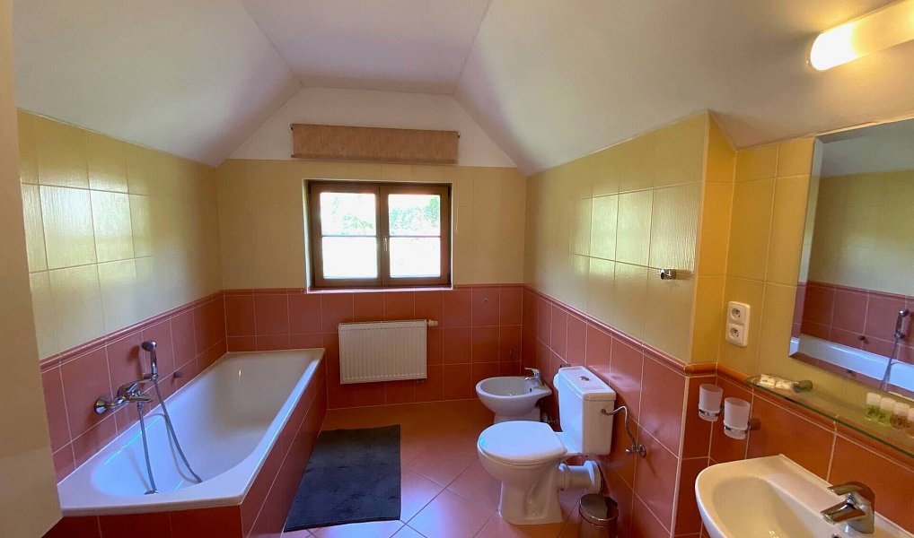 Prodej domu 140 m² s pozemkem 528 m², Karlovy Vary – náhled fotky 13