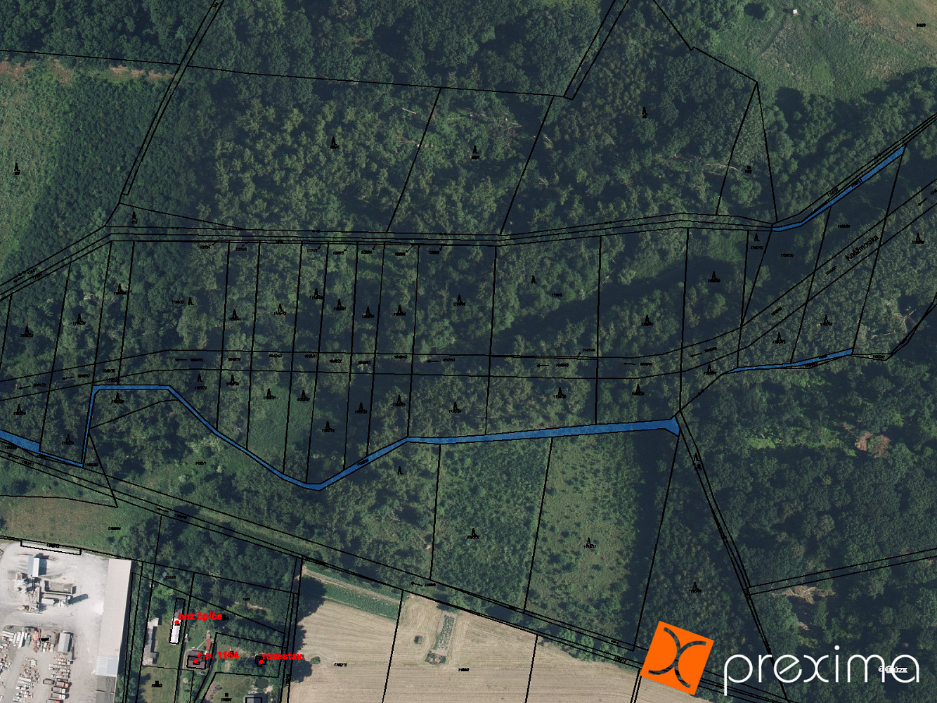 Prodej lesa 85 m²