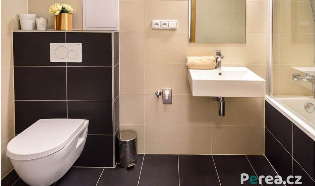 Prodej bytu 2+kk 42 m², Všemina – náhled fotky 4