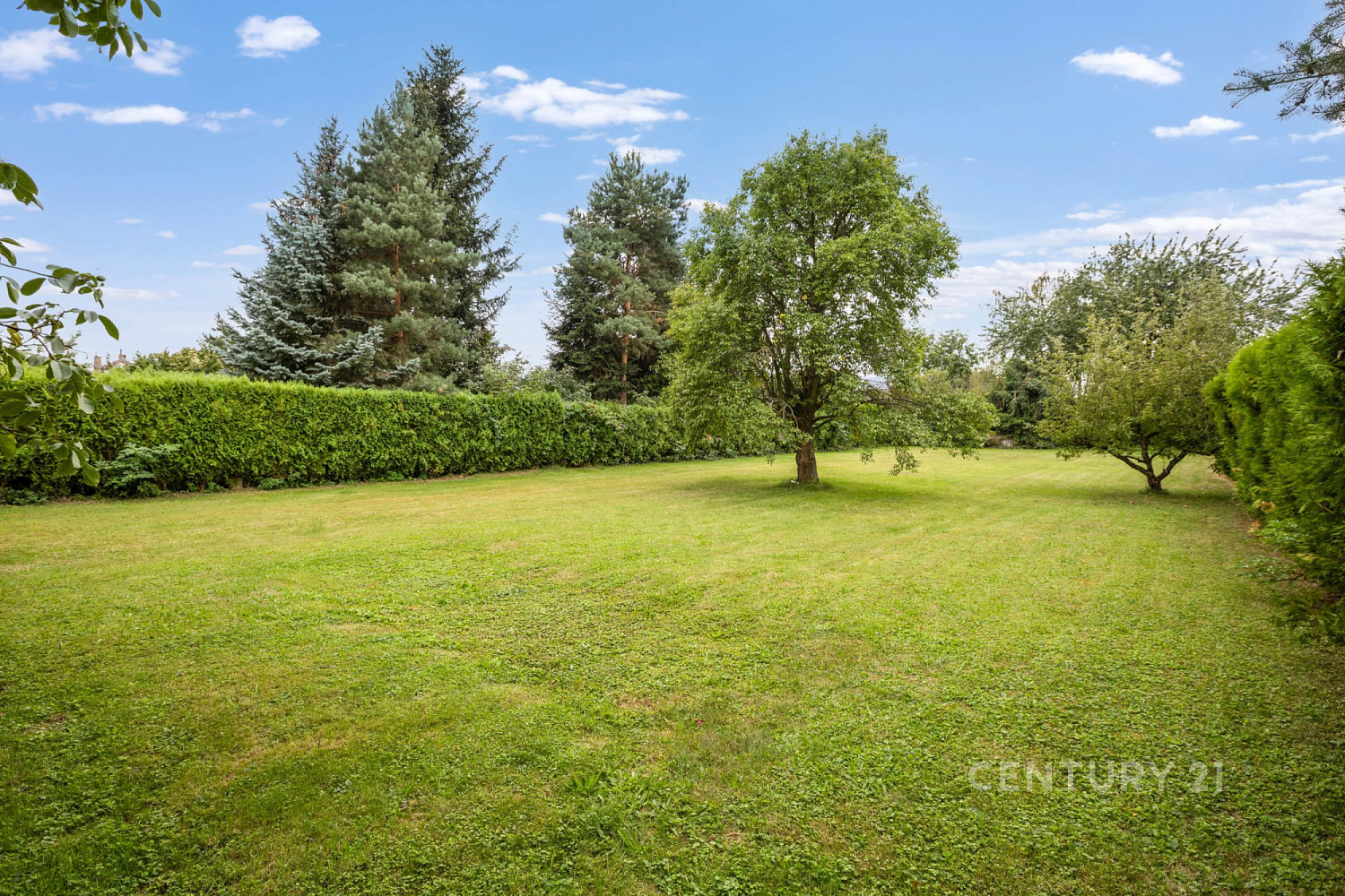 Prodej domu 215 m² s pozemkem 1 960 m² – fotografie 2