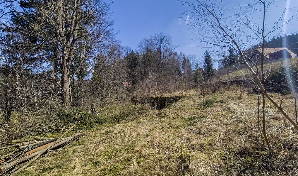 Prodej stavebního pozemku 5 025 m², Horní Bečva – náhled fotky 11