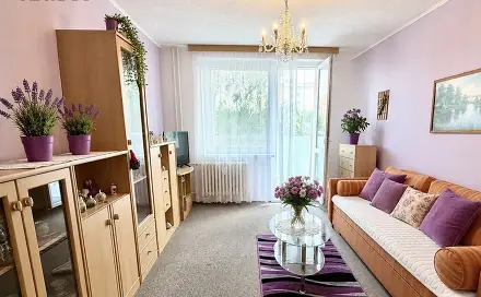 Prodej bytu 1+1 35 m², Okružní, Třebíč - Borovina