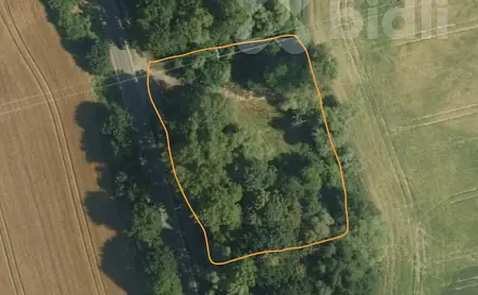 Pronájem louky 3 000 m², Pardubice - Nemošice