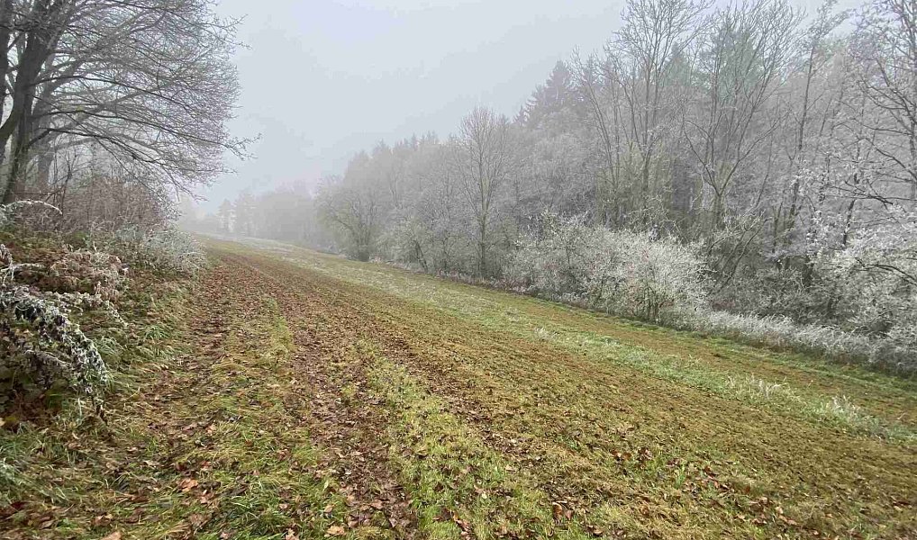 Prodej stavebního pozemku 1 210 m², Stará Paka – náhled fotky 2