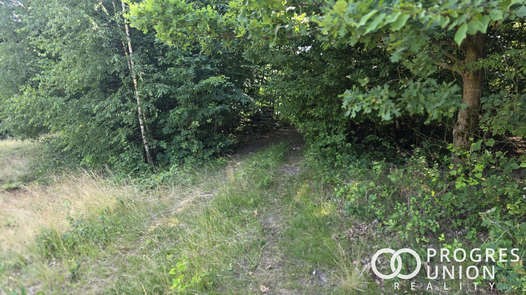 Prodej pole 6 323 m² — photo 4