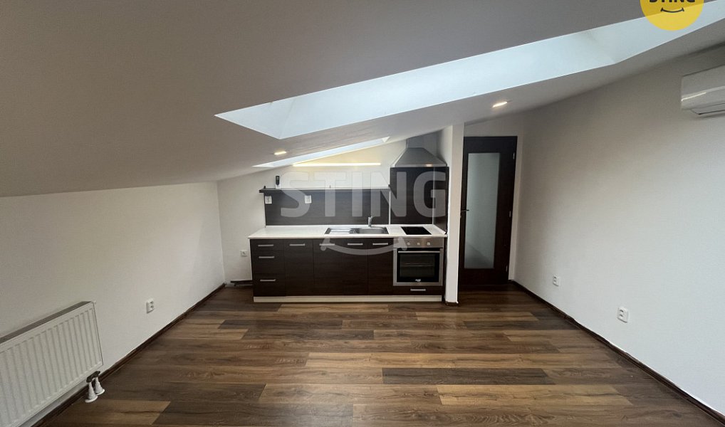 Pronájem bytu 1+kk 47 m², Opava – náhled fotky 4