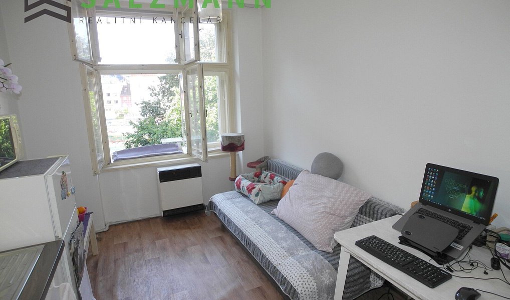Prodej bytu 2+kk 42 m², Plzeň – náhled fotky 4