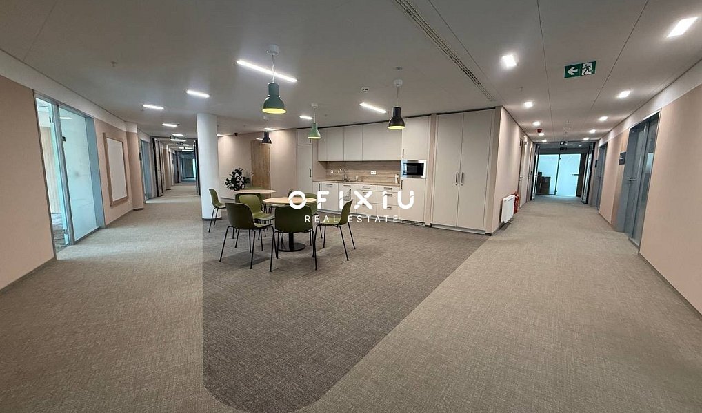 Pronájem kanceláře 300 m², Praha – náhled fotky 5