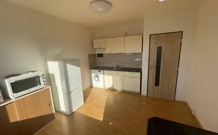 Pronájem bytu 1+kk 18 m², Kamenická, Děčín - Děčín II-Nové Město