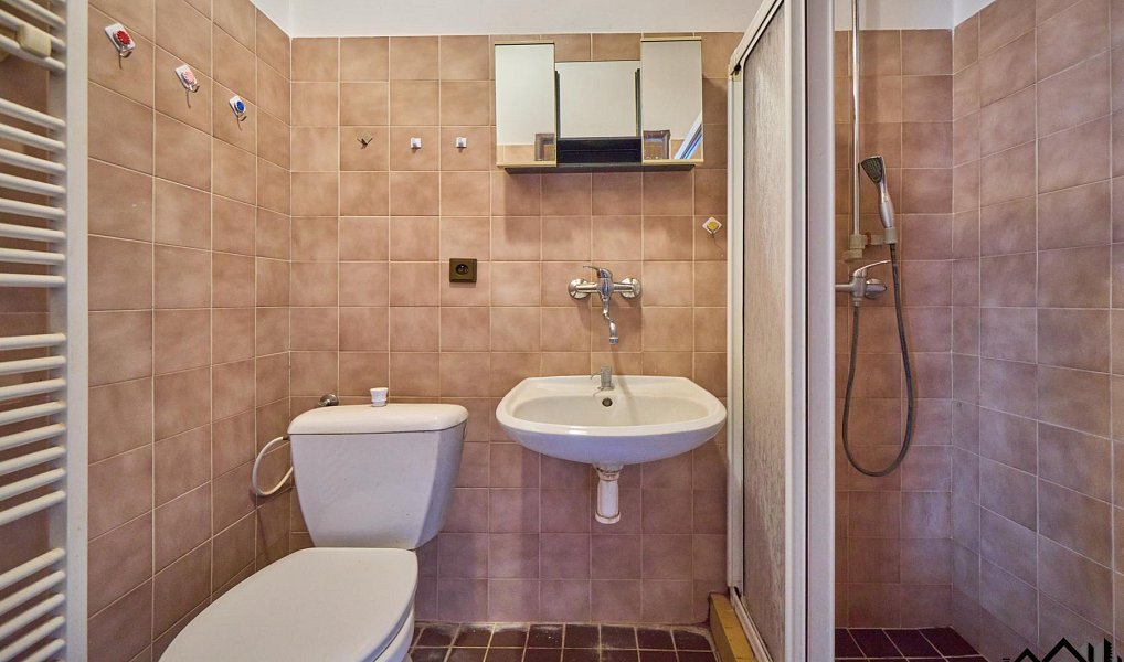 Prodej domu 242 m² s pozemkem 149 m², Jevíčko – náhled fotky 12