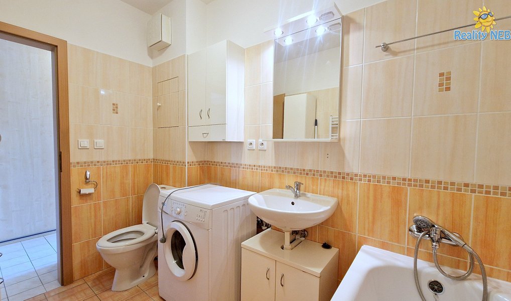 Pronájem bytu 1+kk 41 m², Praha – náhled fotky 10