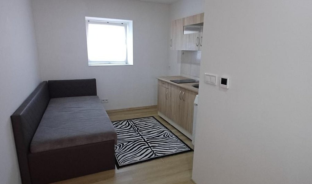 Pronájem bytu 1+kk 24 m², Čelákovice – náhled fotky 4