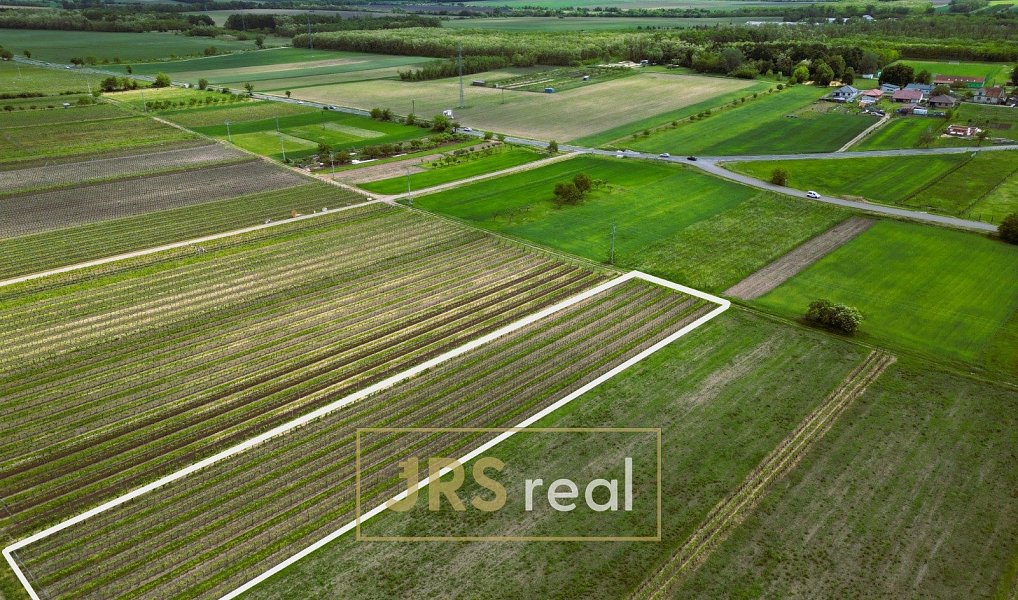 Prodej pole 3 474 m², Březí – náhled fotky 4