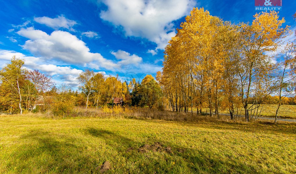 Prodej louky 1 072 m², Krsy – náhled fotky 9
