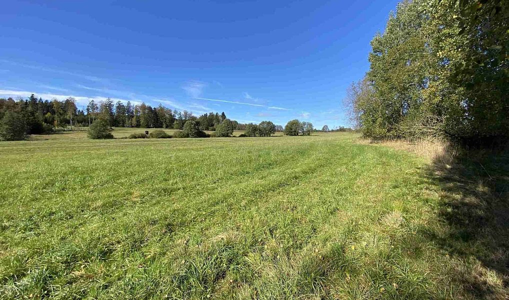 Prodej pole 4 706 m², Nový Rychnov – náhled fotky 5