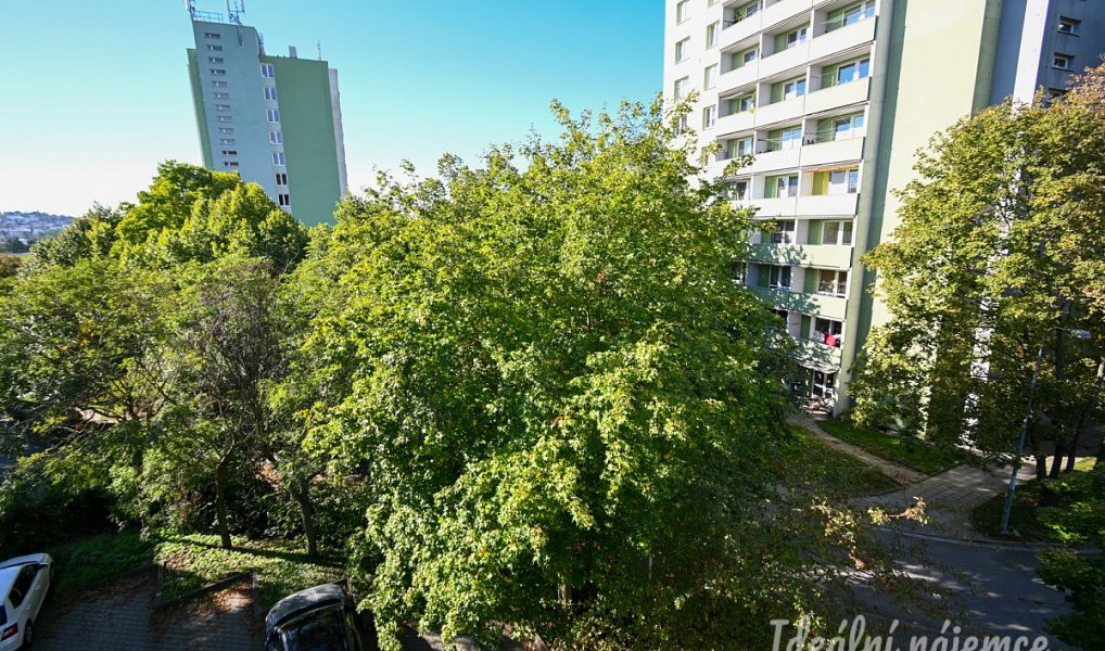 Pronájem bytu 3+kk 118 m², Brno – náhled fotky 21