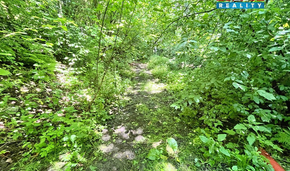 Prodej vodní plochy 3 255 m², Skalice u České Lípy – náhled fotky 9