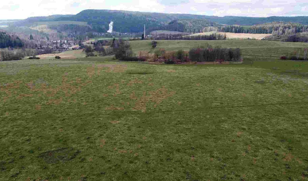 Prodej pozemku 5 185 m², Teplice nad Metují – náhled fotky 3