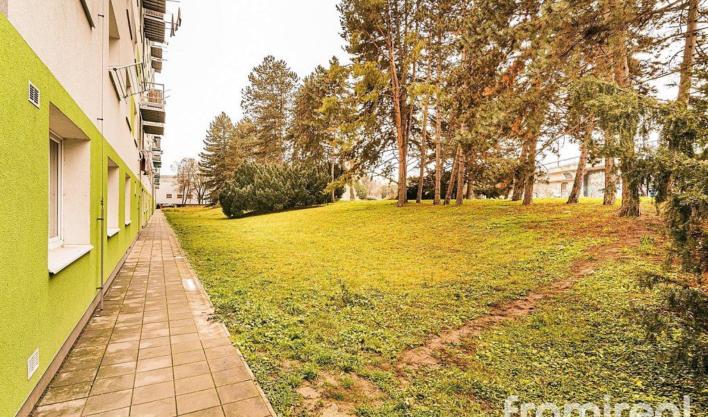 Prodej bytu 2+1 58 m², Brno – náhled fotky 6