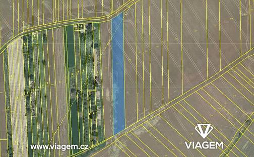 Prodej pole 450 m², Labuty, okres Hodonín