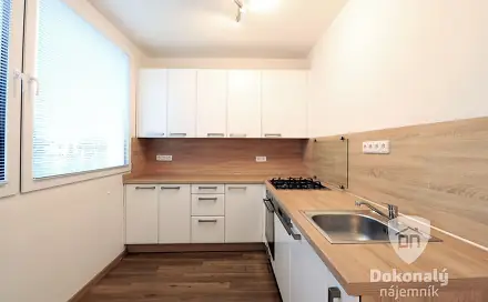 Pronájem bytu 1+1 37 m², Havlíčkova, Mladá Boleslav - Mladá Boleslav II