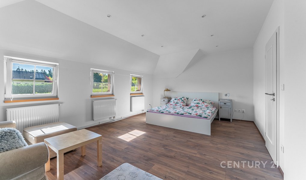 Prodej domu 340 m² s pozemkem 1 893 m², Družec – náhled fotky 12