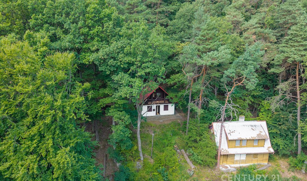Prodej chaty/chalupy 70 m² s pozemkem 270 m², Moravany – náhled fotky 13