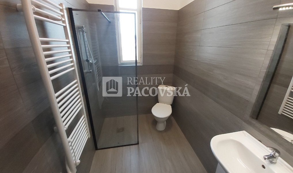 Pronájem bytu 1+kk 25 m², Ústí nad Labem – náhled fotky 5