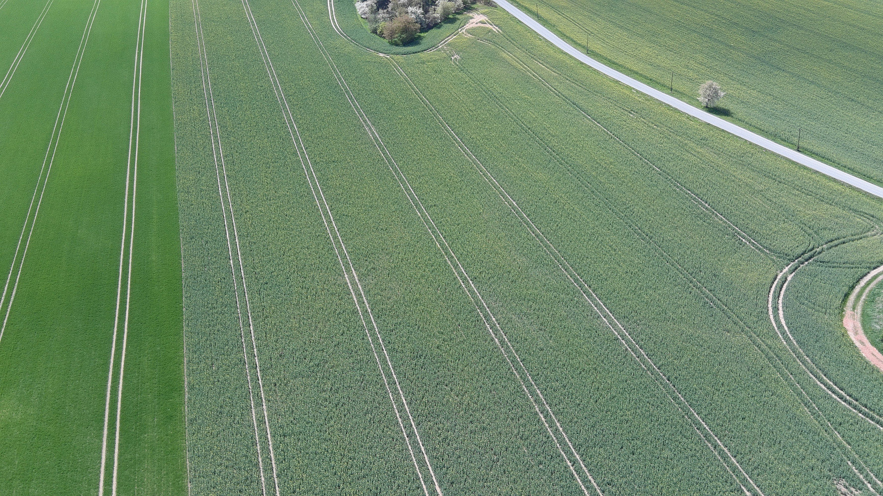Prodej pole 72 828 m² – fotografie 2