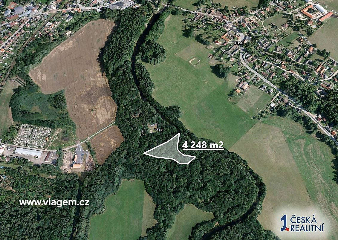 Prodej lesa 4 248 m² – fotografie 2