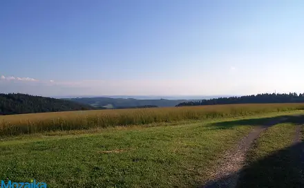 Prodej louky 867 m², Výprachtice, okres Ústí nad Orlicí