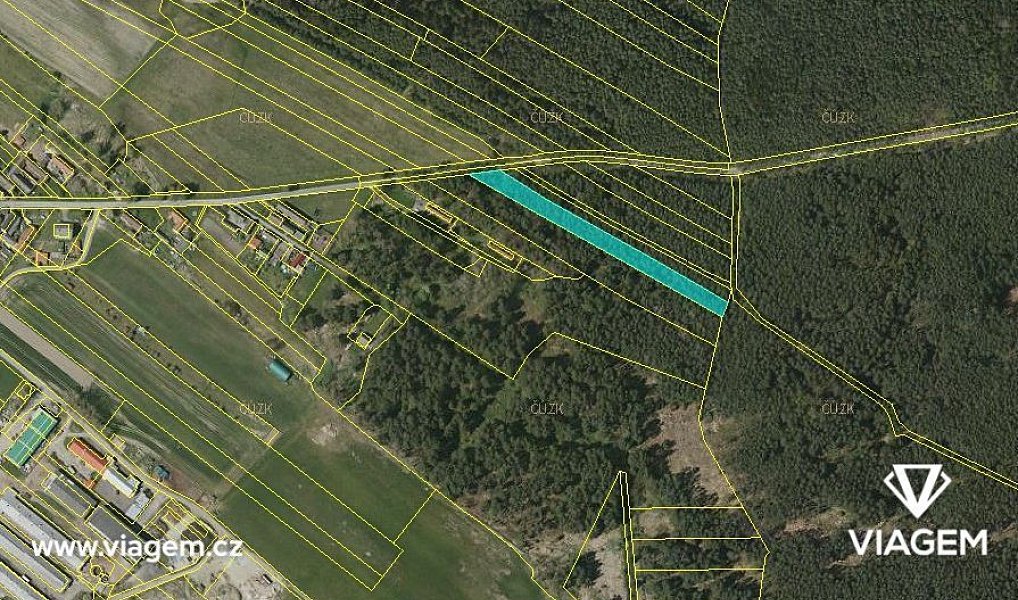 Prodej lesa 3 880 m², Drahov – náhled fotky 3