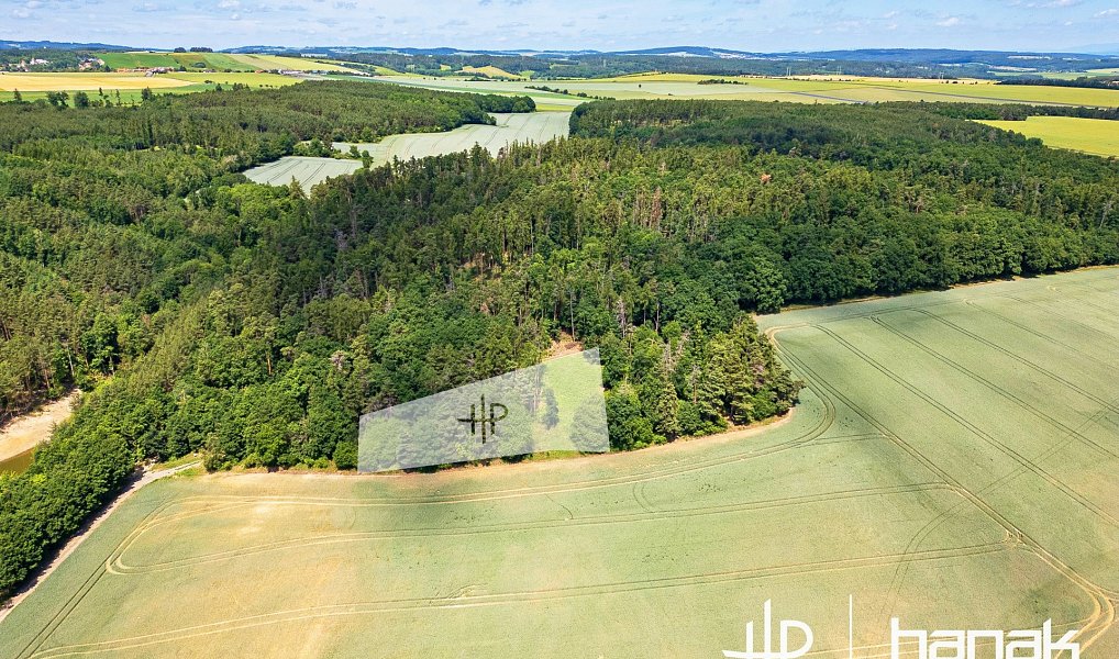 Prodej domu 127 m² s pozemkem 3 150 m², Hluchov – náhled fotky 12