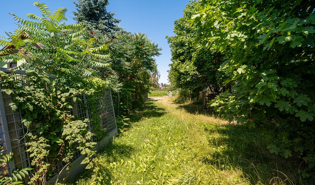 Prodej stavebního pozemku 4 800 m², Březí nad Oslavou – náhled fotky 11