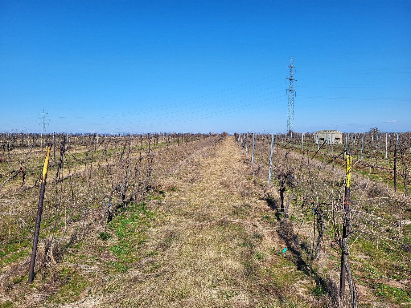 Prodej pozemku 4 944 m² – fotografie 3