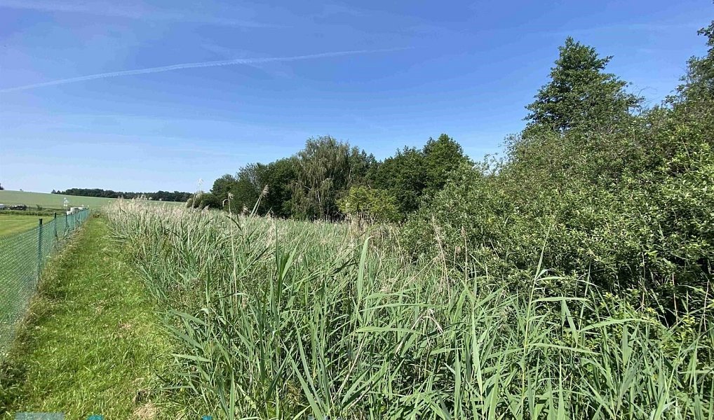 Prodej pozemku 458 m², Trhové Sviny – náhled fotky 2