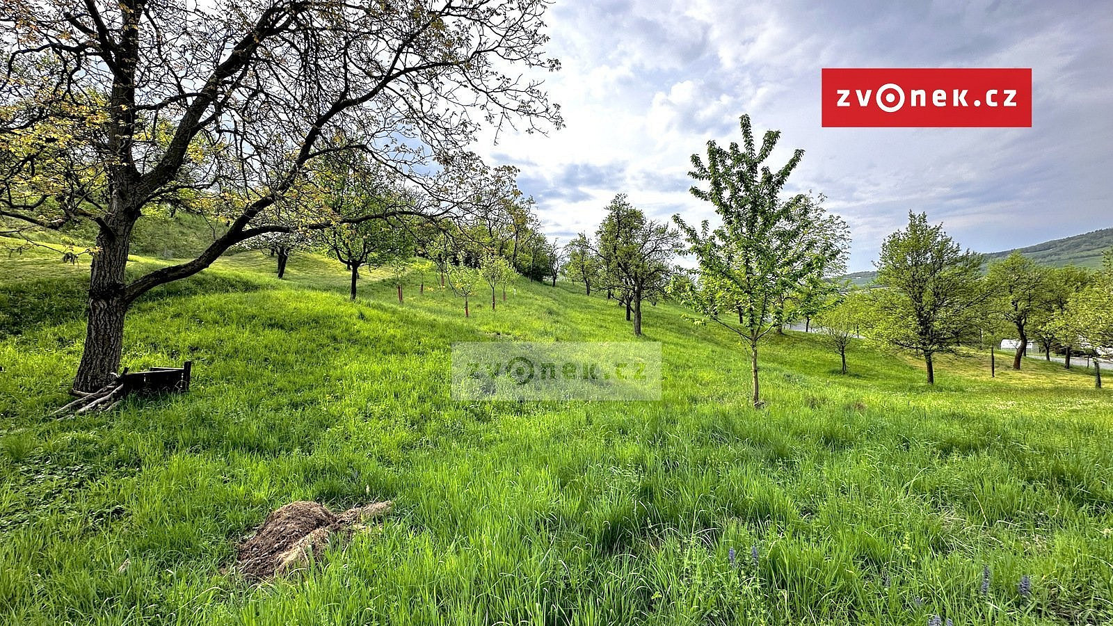 Prodej zahrady 852 m² – fotografie 4