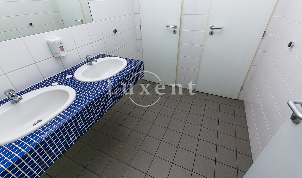 Pronájem kanceláře 393 m², Praha – náhled fotky 12